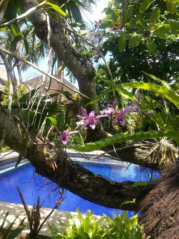Sanur Beach Villas Buitenkant foto